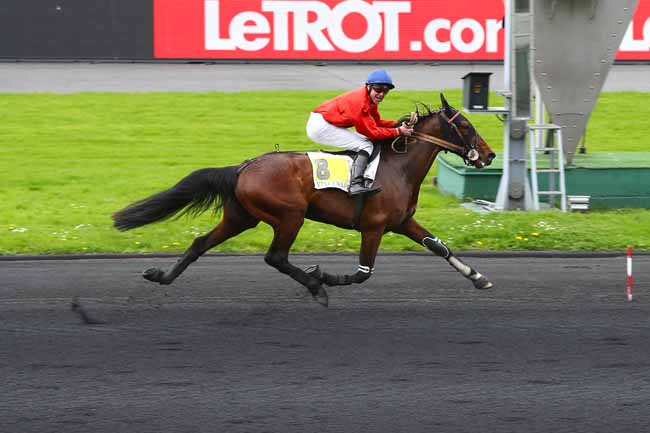 Photo d'arrivée de la course pmu PRIX HEMINE à PARIS-VINCENNES le Samedi 14 avril 2018