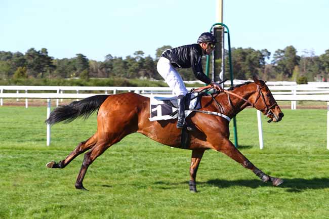 Photo d'arrivée de la course pmu PRIX BOURGEONNEAU à FONTAINEBLEAU le Mardi 17 avril 2018