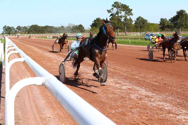 Photo d'arrivée de la course pmu PRIX DE L'ESTAMINET (GR B) à PONTCHATEAU le Mercredi 18 avril 2018