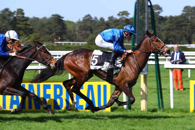 Photo d'arrivée de la course pmu PRIX DE SAMOIS-SUR-SEINE à FONTAINEBLEAU le Samedi 21 avril 2018