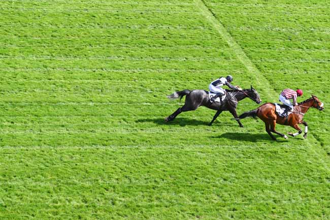 Photo d'arrivée de la course pmu PRIX DE MARSAN à AUTEUIL le Dimanche 22 avril 2018