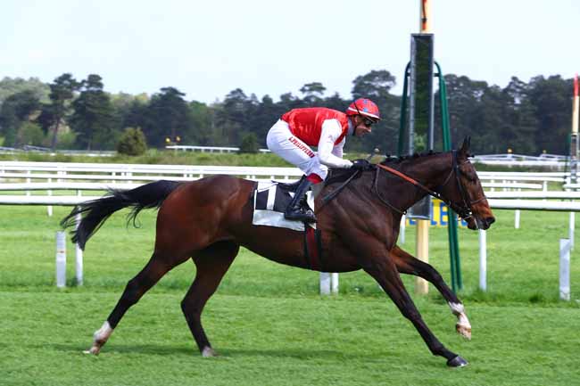 Photo d'arrivée de la course pmu PRIX COLONEL BRUNO DE GALBERT à FONTAINEBLEAU le Mardi 24 avril 2018