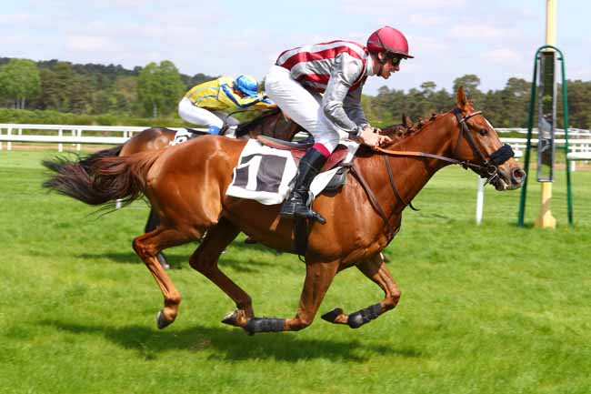 Photo d'arrivée de la course pmu PRIX JEAN PAUL ET PIERRE BERTRAND à FONTAINEBLEAU le Mardi 24 avril 2018