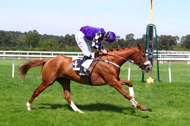 Photo d'arrivée de la course pmu PRIX MICHEL BOUCHET à FONTAINEBLEAU le Mardi 24 avril 2018