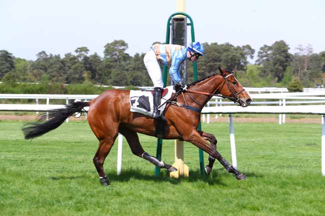 Photo d'arrivée de la course pmu PRIX PERPLEXE à FONTAINEBLEAU le Mardi 24 avril 2018