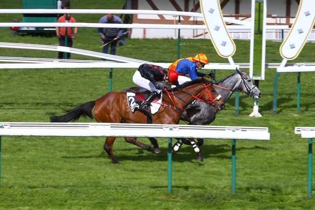 Photo d'arrivée de la course pmu PRIX XAVIER DE CHEVIGNY à COMPIEGNE le Jeudi 26 avril 2018