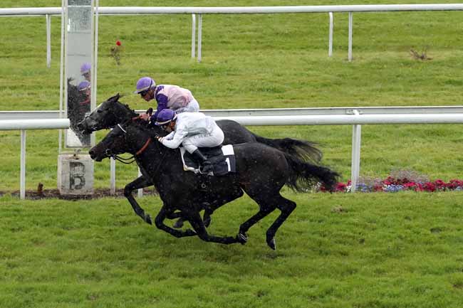 Photo d'arrivée de la course pmu PRIX ROBERT DE VILLEMANDY à BORDEAUX-LE BOUSCAT le Lundi 30 avril 2018
