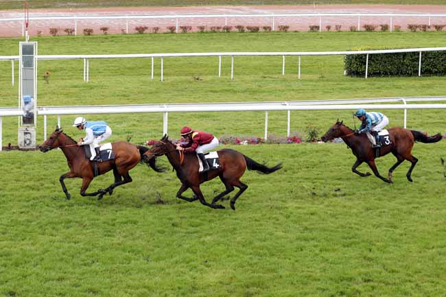 Photo d'arrivée de la course pmu PRIX DU TREMBLAY à BORDEAUX-LE BOUSCAT le Lundi 30 avril 2018