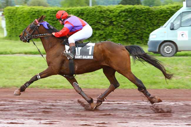 Photo d'arrivée de la course pmu PRIX ASSE à SAINT GALMIER le Mercredi 2 mai 2018