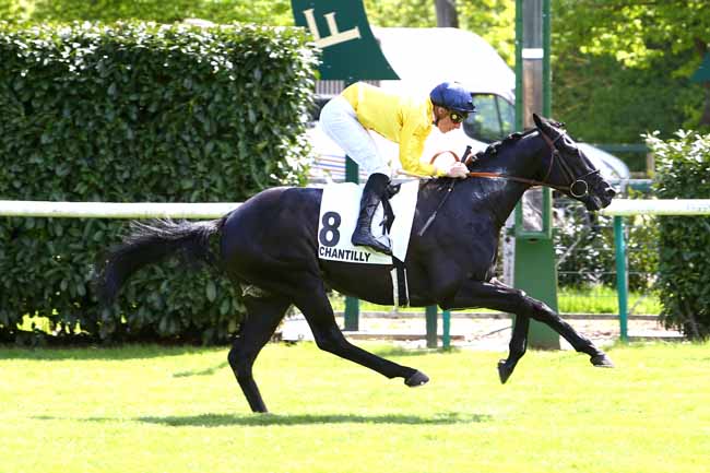 Photo d'arrivée de la course pmu PRIX DE BRICHEBAY à CHANTILLY le Mercredi 2 mai 2018