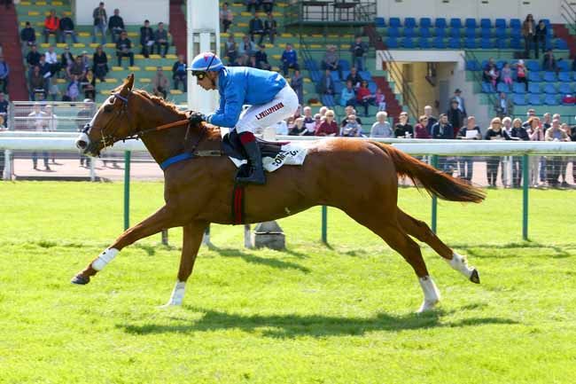 Photo d'arrivée de la course pmu PRIX HYERES III à COMPIEGNE le Vendredi 4 mai 2018
