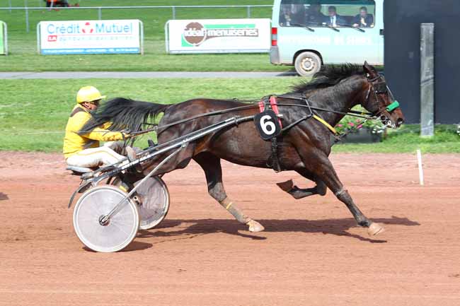 Photo d'arrivée de la course pmu PRIX CARREFOUR FEURS à FEURS le Mardi 15 mai 2018