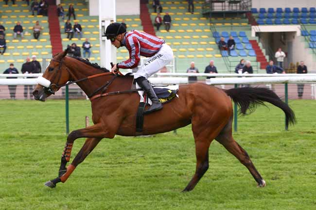 Photo d'arrivée de la course pmu PRIX RADIO PARIS à COMPIEGNE le Mardi 15 mai 2018