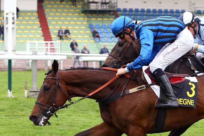 Photo d'arrivée de la course pmu PRIX COLLINS à COMPIEGNE le Mardi 15 mai 2018