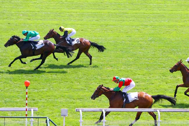 Photo d'arrivée de la course pmu PRIX DAGOR à MAISONS-LAFFITTE le Mercredi 16 mai 2018