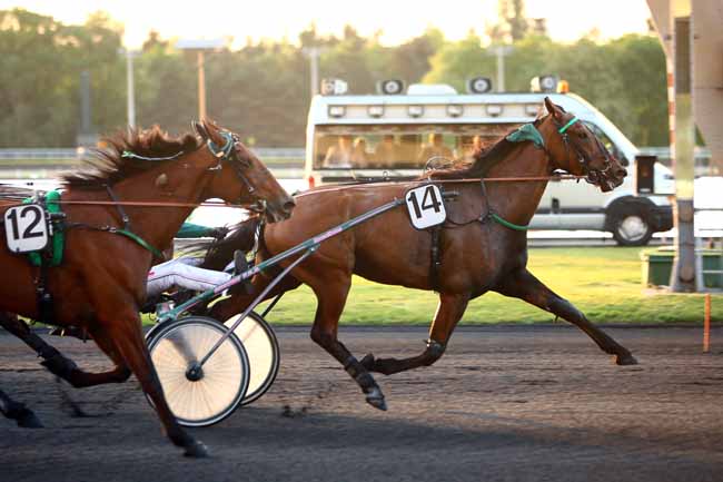 Photo d'arrivée de la course pmu PRIX DEJANIRA à PARIS-VINCENNES le Vendredi 18 mai 2018