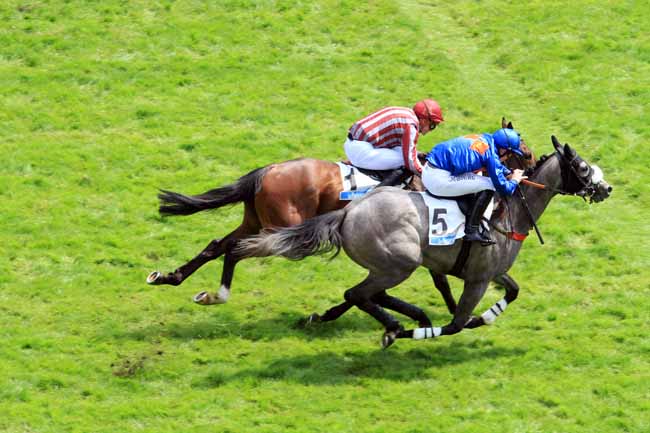 Photo d'arrivée de la course pmu PRIX STANLEY à AUTEUIL le Dimanche 20 mai 2018