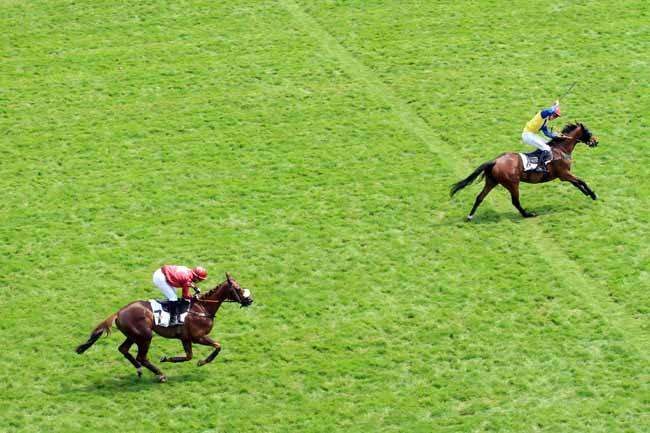 Photo d'arrivée de la course pmu PRIX JACKAL à AUTEUIL le Dimanche 20 mai 2018