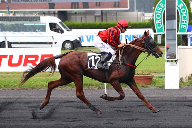 Photo d'arrivée de la course pmu PRIX PRINCE DU VERGER à LE CROISE-LAROCHE le Mercredi 23 mai 2018