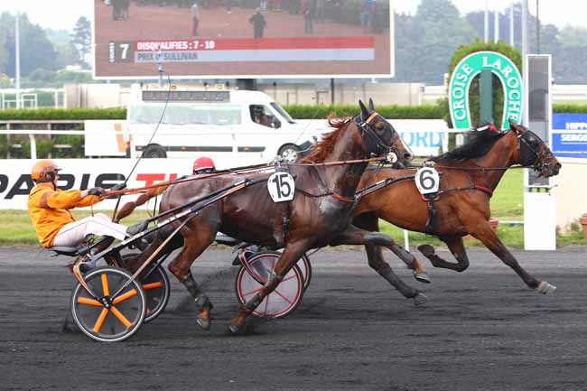 Photo d'arrivée de la course pmu PRIX O'SULLIVAN à LE CROISE-LAROCHE le Mercredi 23 mai 2018