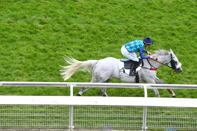 Photo d'arrivée de la course pmu PRIX MELINOIR à AUTEUIL le Samedi 26 mai 2018