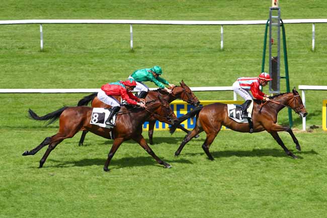 Photo d'arrivée de la course pmu PRIX DES SENTIERS DENECOURT à FONTAINEBLEAU le Mercredi 30 mai 2018