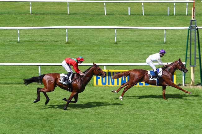 Photo d'arrivée de la course pmu PRIX DU ROCHER DE BOULIGNY - PRIX BERNARD SECLY à FONTAINEBLEAU le Mercredi 30 mai 2018