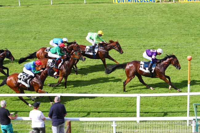 Photo d'arrivée de la course pmu PRIX DE LA FORET DES TROIS PIGNONS à FONTAINEBLEAU le Mercredi 30 mai 2018