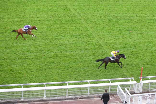 Photo d'arrivée de la course pmu PRIX DE LA MUETTE à AUTEUIL le Mercredi 30 mai 2018