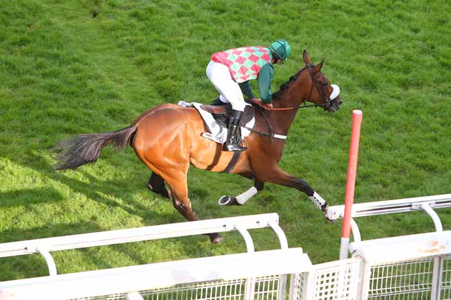 Photo d'arrivée de la course pmu PRIX MIROR à AUTEUIL le Mercredi 30 mai 2018