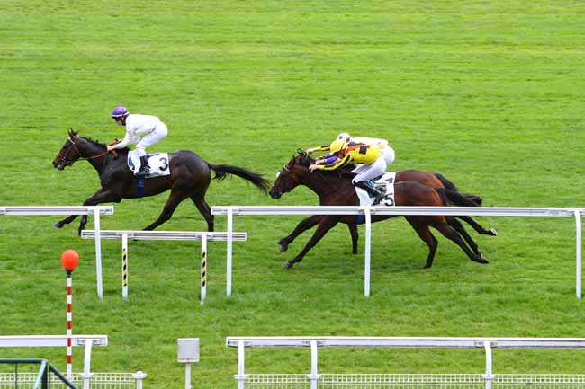 Photo d'arrivée de la course pmu PRIX LA FLECHE à MAISONS-LAFFITTE le Vendredi 1 juin 2018