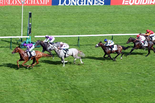 Photo d'arrivée de la course pmu PRIX DU MARCHE AUX FLEURS à LONGCHAMP le Samedi 2 juin 2018