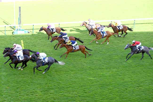 Photo d'arrivée de la course pmu PRIX DES NENUPHARS à LONGCHAMP le Jeudi 7 juin 2018