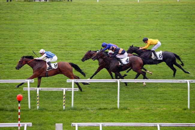 Photo d'arrivée de la course pmu PRIX MARCHAND D'OR à MAISONS-LAFFITTE le Lundi 11 juin 2018