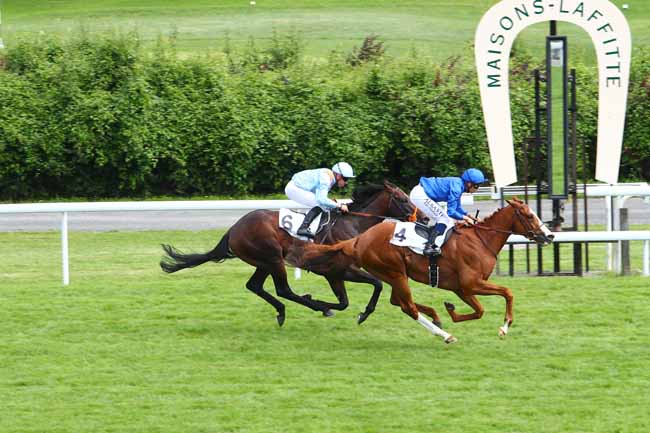 Photo d'arrivée de la course pmu PRIX MENDEZ à MAISONS-LAFFITTE le Samedi 16 juin 2018