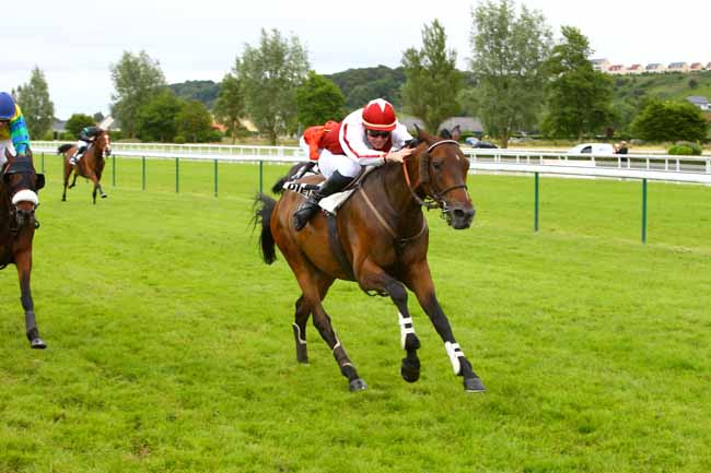 Photo d'arrivée de la course pmu PRIX JEAN RIBAULT à DIEPPE le Mardi 19 juin 2018