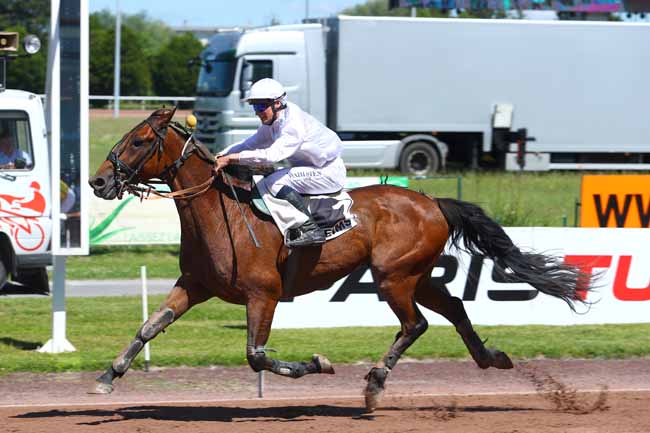 Photo d'arrivée de la course pmu PRIX DU JOURNAL L'UNION à REIMS le Mercredi 20 juin 2018