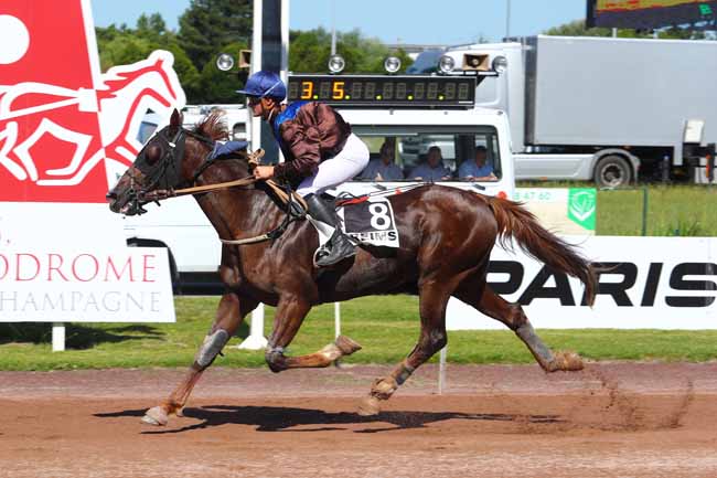 Photo d'arrivée de la course pmu PRIX OSCAR COLLARD à REIMS le Mercredi 20 juin 2018