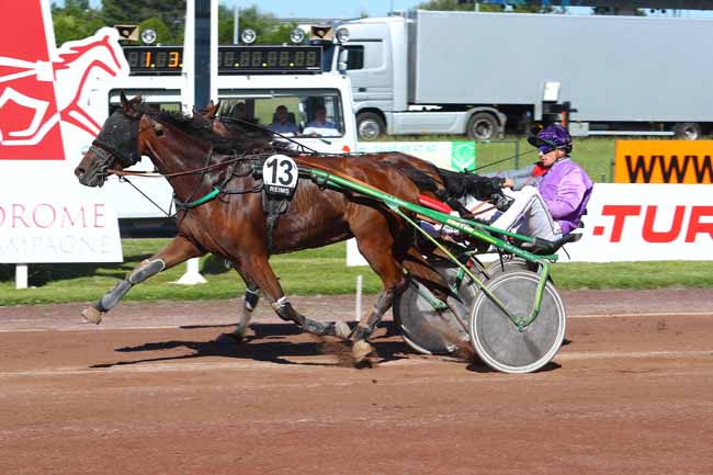 Photo d'arrivée de la course pmu PRIX DU BON ACCUEIL - TINQUEUX à REIMS le Mercredi 20 juin 2018