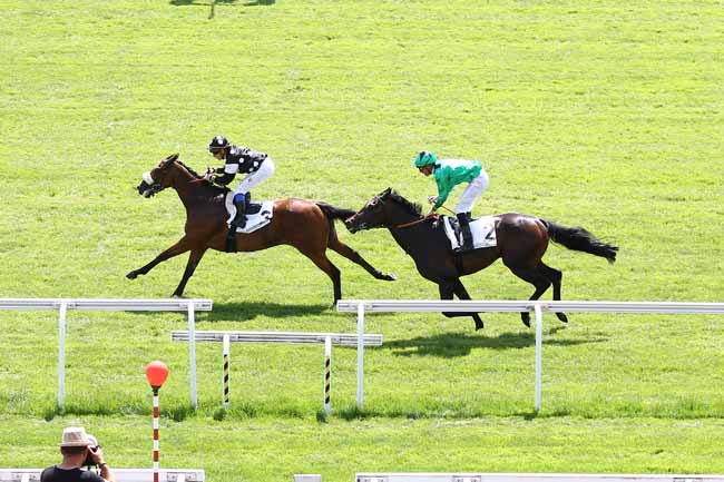 Photo d'arrivée de la course pmu PRIX FLAMBEAU à MAISONS-LAFFITTE le Mercredi 20 juin 2018
