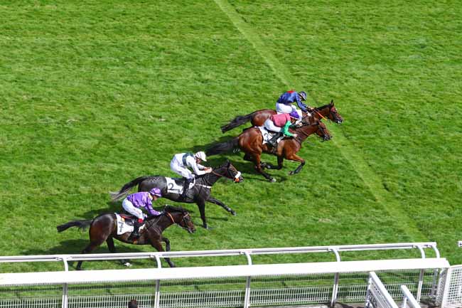 Photo d'arrivée de la course pmu PRIX FRASCATI à AUTEUIL le Jeudi 21 juin 2018