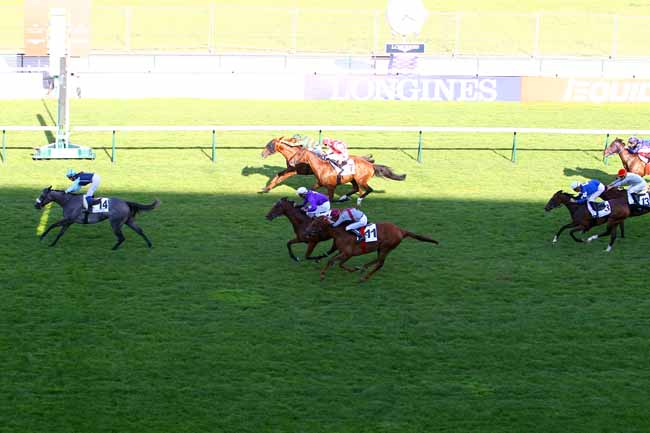Photo d'arrivée de la course pmu PRIX DE LA PORTE D'AUTEUIL à LONGCHAMP le Jeudi 28 juin 2018