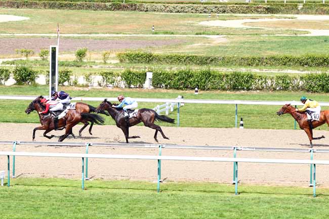 Photo d'arrivée de la course pmu PRIX DE LA HAIE TONDUE à DEAUVILLE le Mardi 3 juillet 2018
