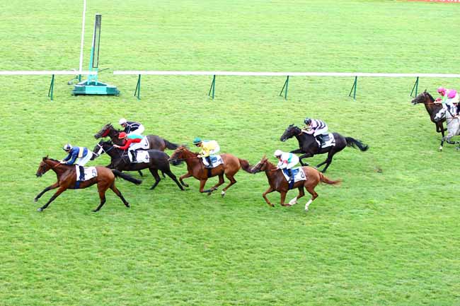 Photo d'arrivée de la course pmu PRIX DE L'ILE SEGUIN à LONGCHAMP le Jeudi 12 juillet 2018