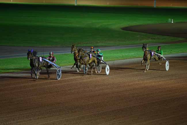 Photo d'arrivée de la course pmu PRIX DE SAINTE-MARIE-DU-MONT (GR B) à CABOURG le Vendredi 13 juillet 2018