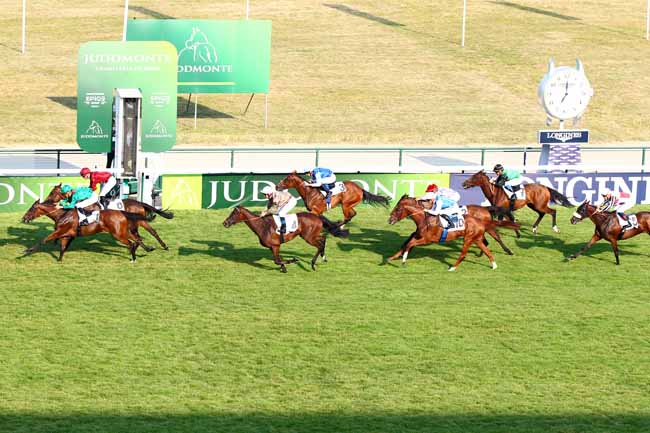 Photo d'arrivée de la course pmu PRIX DE THIBERVILLE à LONGCHAMP le Samedi 14 juillet 2018