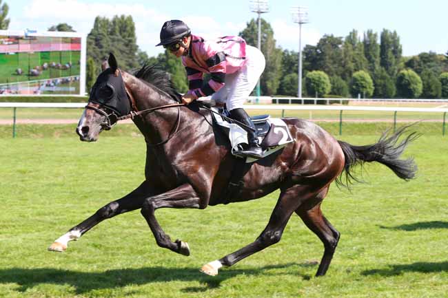 Photo d'arrivée de la course pmu PRIX MAKALU à VICHY le Jeudi 19 juillet 2018