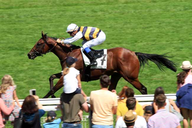 Photo d'arrivée de la course pmu PRIX DE TANCARVILLE - SAUTERNES'S CUP à DEAUVILLE le Samedi 28 juillet 2018