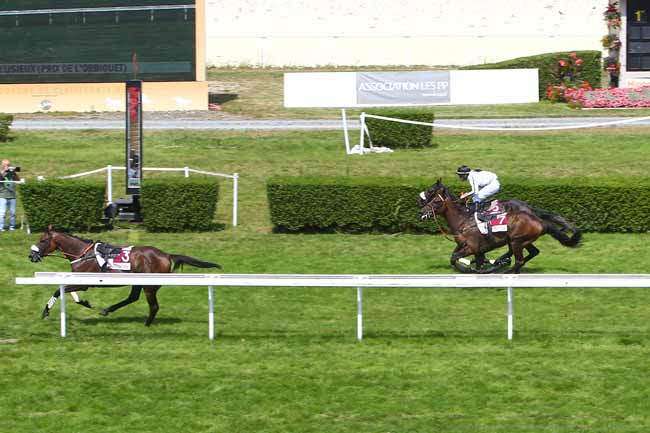 Photo d'arrivée de la course pmu PRIX DE L'ORBIQUET à CLAIREFONTAINE le Samedi 4 août 2018