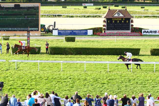 Photo d'arrivée de la course pmu PRIX DES ACONITES à CLAIREFONTAINE le Mardi 14 août 2018